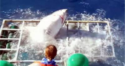 Λευκός καρχαρίας εισβάλλει σε προστατευτικό κλουβί δύτη! (video)