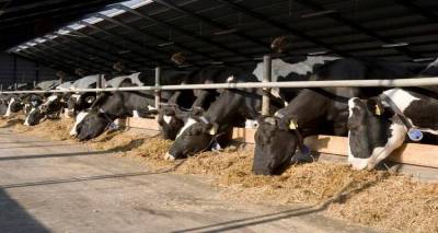 «Έρχονται» κυρώσεις στους κατόχους κτηνοτροφικών εγκαταστάσεων που δεν διαθέτουν άδεια | Όλες οι λεπτομέρειες