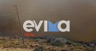 Εύβοια: Μεγάλη φωτιά στην Κάρυστο -Εκκενώθηκαν δύο χωριά