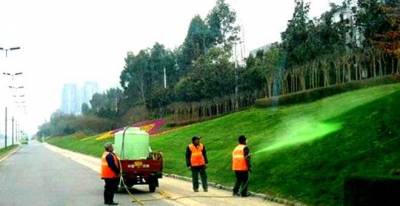 Κίνα: Βάφουν το χορτάρι φωσφοριζέ πράσινο