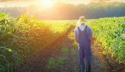 Αιτήσεις ενίσχυσης για την εγκατάσταση των νέων αγροτών και δήλωση εφαρμογής για τους Βιοκαλλιεργητές της Λήμνου