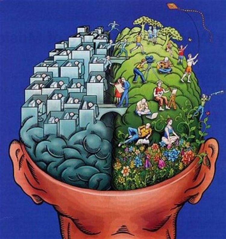 Μύθος η αριστερή ή δεξιά «κυριαρχία» του εγκεφάλου