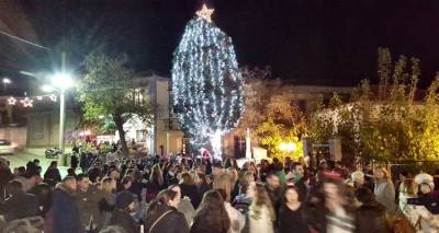 Θάνος: Το Σάββατο η φωταγώγηση του ψηλότερου φυσικού Χριστουγεννιάτικου δέντρου