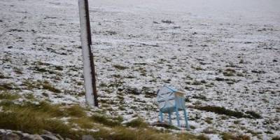 Έπεσαν τα πρώτα χιόνια στη Βόρεια Ελλάδα
