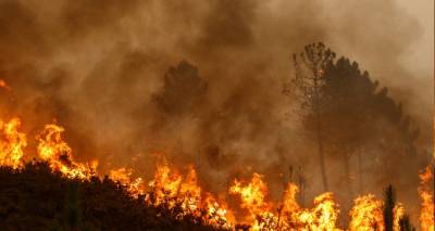 Κλιματική κρίση: «Άλλαξαν» οι πυρκαγιές στην Ευρώπη