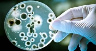 ΑΠΘ: «Έξυπνοι» νανοφορείς σπάνε όλους τους βιολογικούς φραγμούς και θεραπεύουν ασθένειες, ακόμη και τον καρκίνο εγκεφάλου