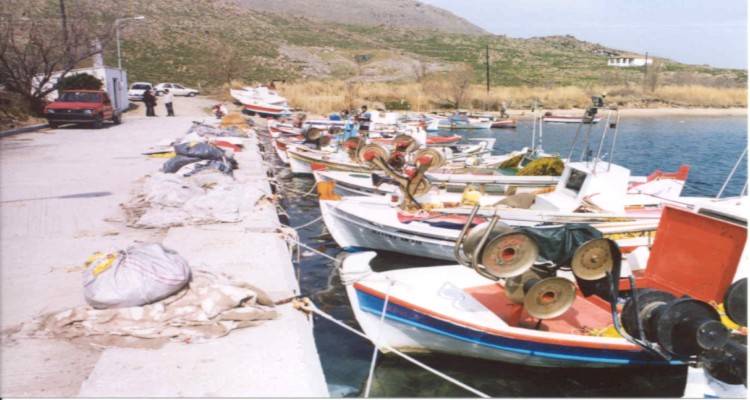 Λήμνος: Προσλήψεις 3 ατόμων για το αλιευτικό καταφύγιο Κοντιά