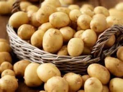 Με ή χωρίς μεσάζοντες στα ύψη η τιμή της πατάτας