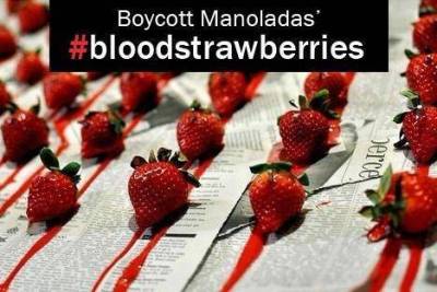 Ματωμένες αφίσες κάνουν το γύρο του κόσμου καλώντας σε διεθνές μποϊκοτάζ στις φράουλες Μανωλάδας